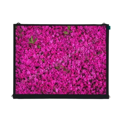 9.7 inch wide viewing angle 1024*768 LVDS 30 pin interface IPS monitor 9.7 inch LCD screen